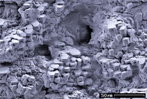 Scanning electron microscope image of gas hydrate crystals in a sediment sample. The scale is 50 micrometers (µm) or approximately 0.002 inches.