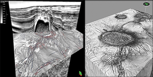 Fig. 1. Multiple realistic co-visualizations. A seismic section from PSTM RTM process and depth slice of variance + ant tracking (l). A coherence c3 + ant tracking cubes (r). Both realizations were calculated with AVThf data as input (South East basin, Gulf of Mexico).