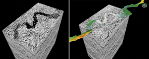 Fig. 2. Cube of MRC AVThf data + coherence attribute. A continuous shadow of an intrusive channel crossing the study area (l). The same cube and the channel geo-body development (r)- (Golfo San Jorge basin, Argentina).