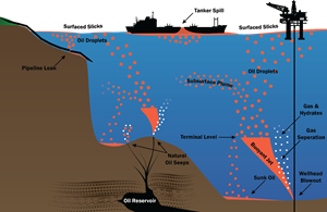 Fig. 2. A hypothetical marine cross-section displaying BLOSOM’s capabilities, including the simulation of uncontrolled hydrocarbon release events, such as surface spills and subsurface blowouts, throughout the water column.