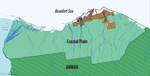Fig. 3. ANWR Coastal Plains leasing area is a relatively small slice of property abutting state lands to the west. Brown areas include Native lands and others excluded from BLM leasing. Image: BLM.