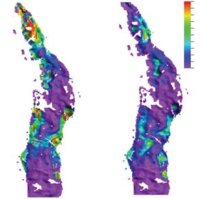 Fig. 5. Probability map of a normalized opportunity index &gt; 0.7 (left) compared to an average map of the opportunity index, including all ensemble members. The color coding follows a normalized scale between low (purple) and high values (red).