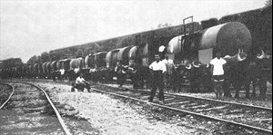 Oxen were used for shunting tank cars being prepared to transport oil from Romania to Germany.