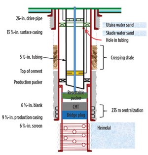 Fig. 7. Diagram of packer placement and details of well construction elements.