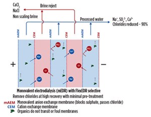 Fig. 2. Diagram showing a simplified electrodialysis reversal system.