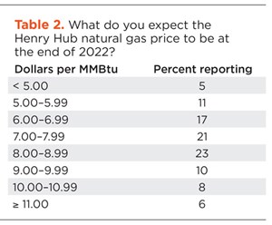 Table 2. What do you expect the Henry Hub natural gas price to be at the end of 2022?