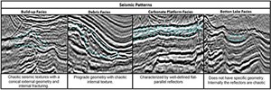 Fig. 4. Seismic facies patterns of the Barra Velha formation identified in the seismic amplitude.
