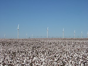 Fig. 5. A smattering of the 627 terminals on the Roscoe Wind Farm, one of the world&#x27;s largest, tower over the irrigation system of a West Texas cotton field. Wind power is being seen as a potentially viable solution to electrify Permian basin field operations. Image: RWE Renewables.