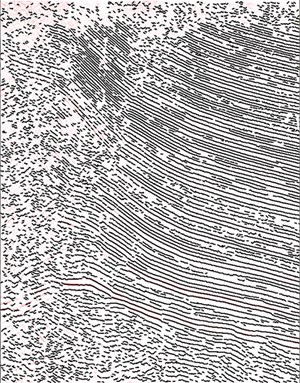 Fig. 6b. Algorithm applied: All connected peaks, including all connected y-x pairs from four to several hundred in length. Hardly any red is seen, because the found segments perfectly overlay the horizons, proving there is no offset error. Eliminating the shortest connections is an effective random noise filter; i.e. the shortest segments are in the regions of greatest seismic noise.