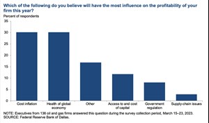 Fig. 4. Special Question on which factor will have the most influence on a firm’s profitability this year.