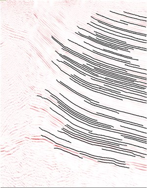 Fig. 2. Horizons longer than 100 traces posted on seismic peaks with a mild coherency filter applied.