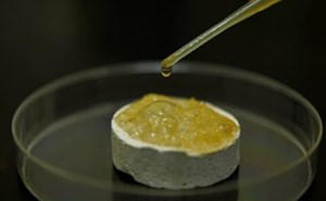 Fig. 1. Reaction of organic acid with carbonate core sample. Image: EXPEC ARC.