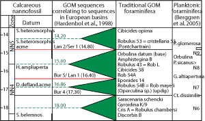 Fig. 2. This Miocene sequence chronostratigraphy for the Gulf of Mexico links fossil occurrences to geologic time.