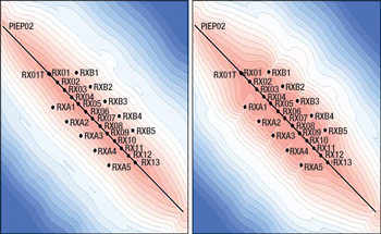 Modeled 3D inversion cumulative sensitivity: inline data only (left), inline and broadside data (right). Red colors correspond to higher sensitivity.