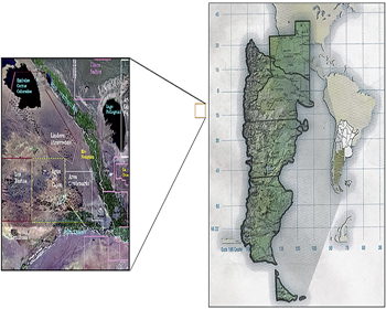 Fig. 1. The Neuquén is a foreland basin on the eastern flank of the Andean Cordillera.