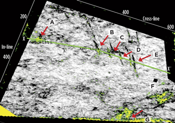 Fig. 6. An arbitrary horizon slice 180 m above the Base Centenario, which shows the fault attribute with chimney probability results overlain.